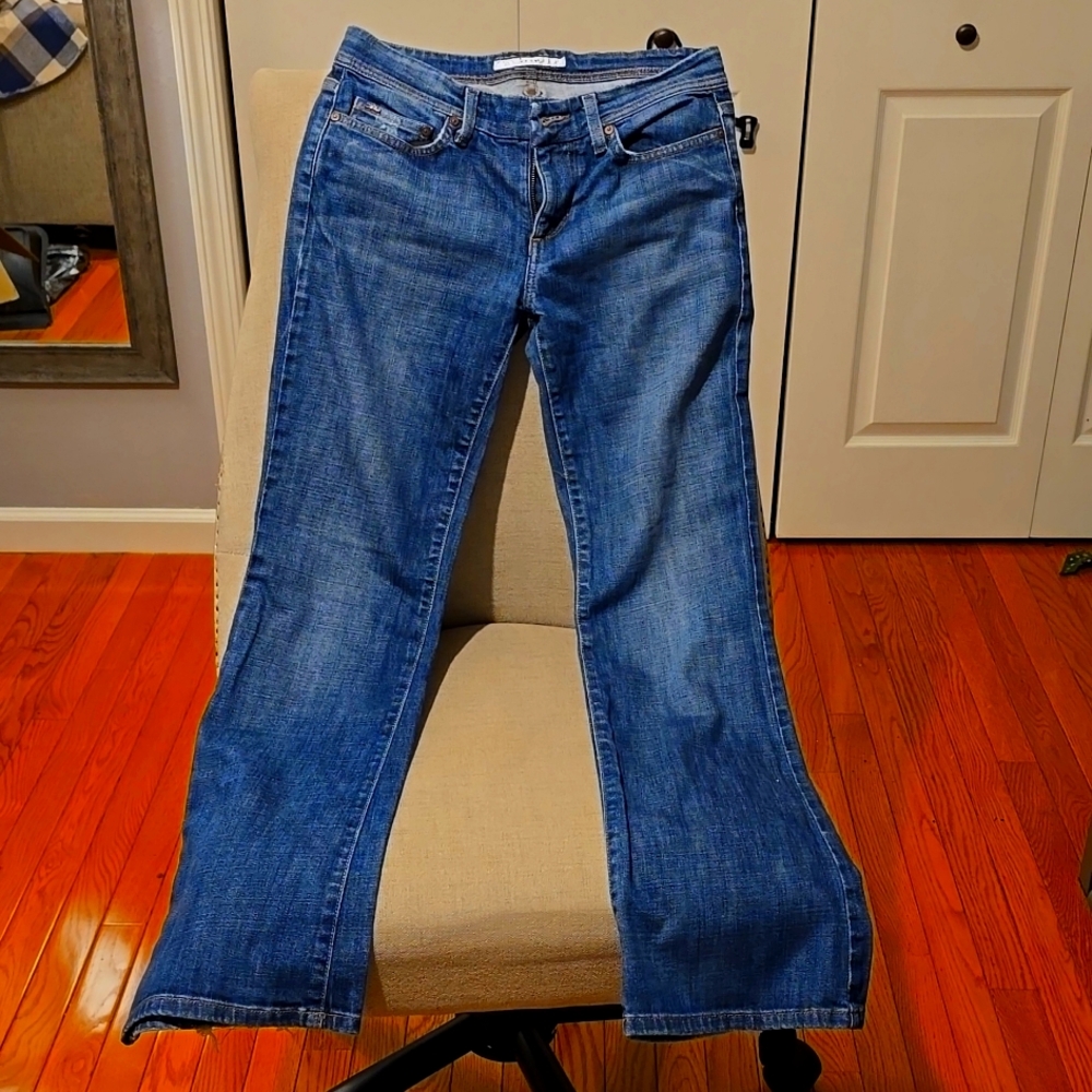 Joe's Jeans size 28 boot cut.